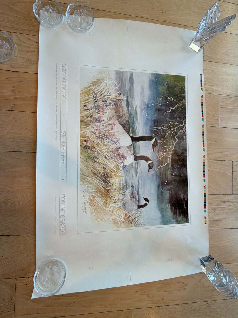 1986 Dawna Barton Canada Geese Stanley Park Art Print